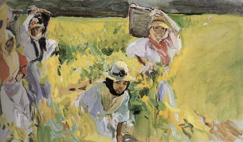 Joaquin Sorolla Sherry grape mining